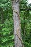 gal/cro 08/_thb_small-IMG_5632.JPG